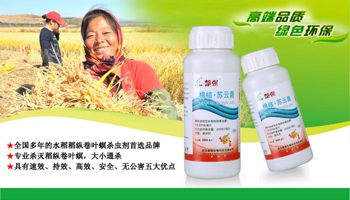 全國(guó)多年的水稻稻縱卷葉螟殺蟲劑首選,楚強(qiáng)