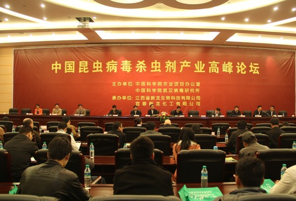 G޲~҄׽څЇxxa(chn)I(y)߷Փ