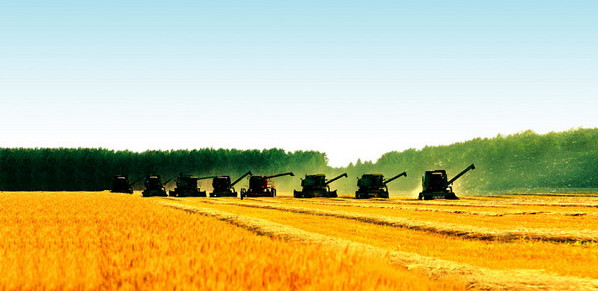 r(nng)I(y)Ҏ(gu)l(f)չ