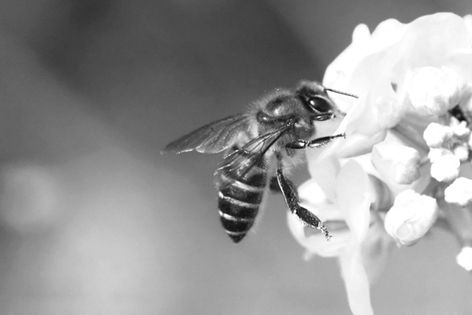 ʾڽհl(f)3ƪоУWʳƷȫַQWr(nng)(jng)ʹõ3Nr(nng)ˎ۷ɡ(yn){׌LP(gun)ע۷NȺ(sh)½F(xin)B(yng)˺ͿƌW(xu)һښ⡣