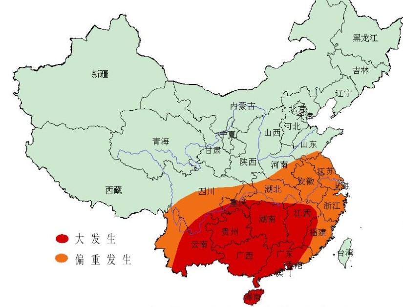 2013年稻飛虱發(fā)生預(yù)測
