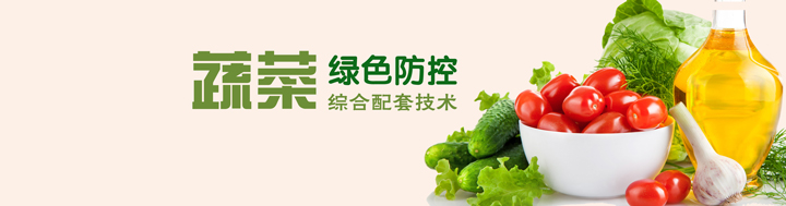 蔬菜綠色防控綜合配套技術(shù)