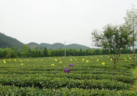 hֲվeO_չ䲡xGɫأo(h)r(nng)I(y)B(ti)h(hun)ȡóЧ