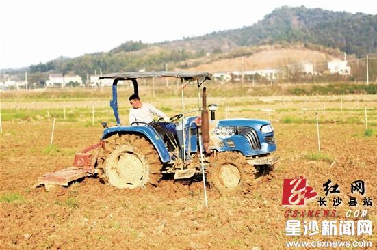 eOƏVr(nng)ˎxGɫؼg(sh)cЙC  LɳһNֲشæ