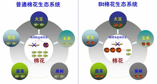     ɿƼMu(png)x2012ȡЇƌW(xu)ʮM(jn)չǰҕЇr(nng)I(y)ƌW(xu)Ժֲﱣo(h)оǿоF(tun)(du)ĿгɹB(ti)W(xu)ԇ(yn)C(sh)BtD(zhun)޻NֲɴM(jn)(du)xơ