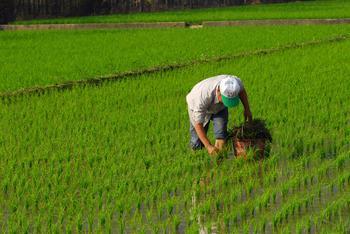 44_ʼBm(x)Ľ׌Ĵϲõ(dng)?sh)r(nng)ץor(sh)C(j)M(jn)дr(nng)ˆTҲֽMl(xing)(zhn)M(jn)ָ(do)ȥ붬ԁĴϲ^ͬƫ٣ɴm(x)l(f)չ(du)Сa(chn)һӰ