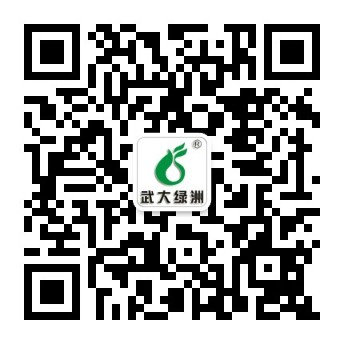 gӭߴaP(gun)עG΢Ź̖(ho)