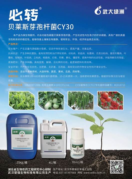 武大綠洲受邀參加九間棚集團(tuán)“六不用”農(nóng)業(yè)生態(tài)種植技術(shù)培訓(xùn)會(huì)