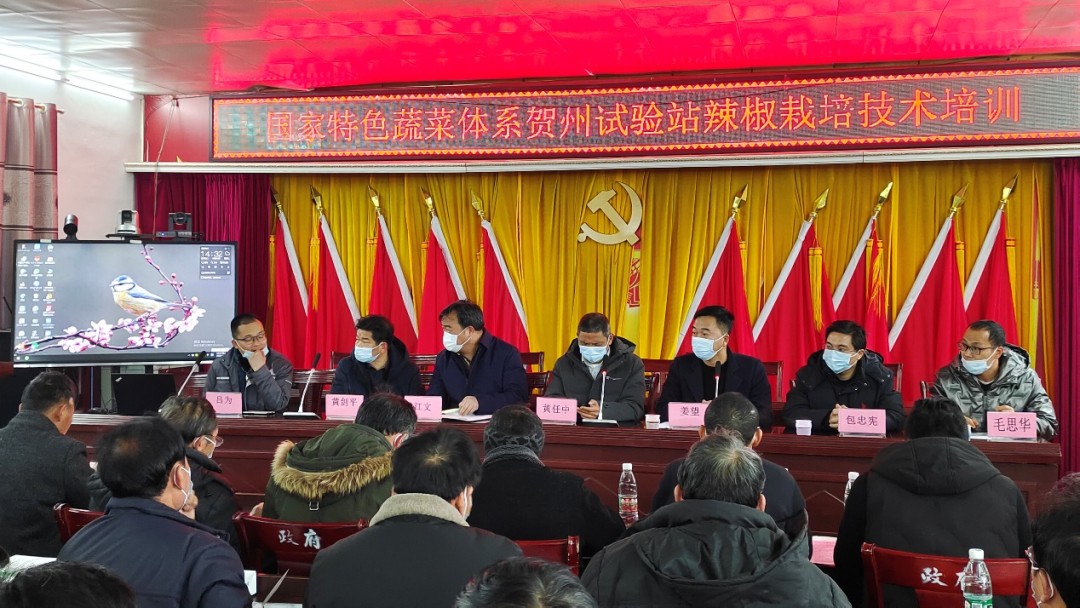 廣西諾亞受邀參加賀州特色蔬菜栽培技術(shù)培訓(xùn)會(huì)